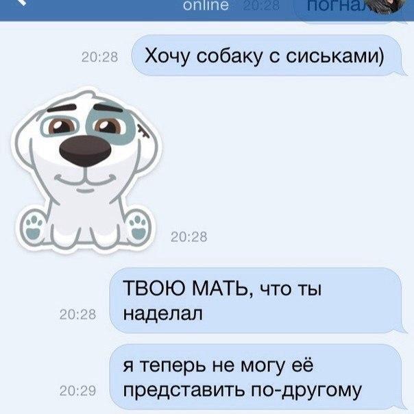 Ужасы и приколы из соцсетей 18+