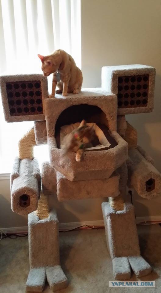 Забавные картинки из Сети