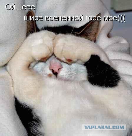 Не хочу убирать за котиком