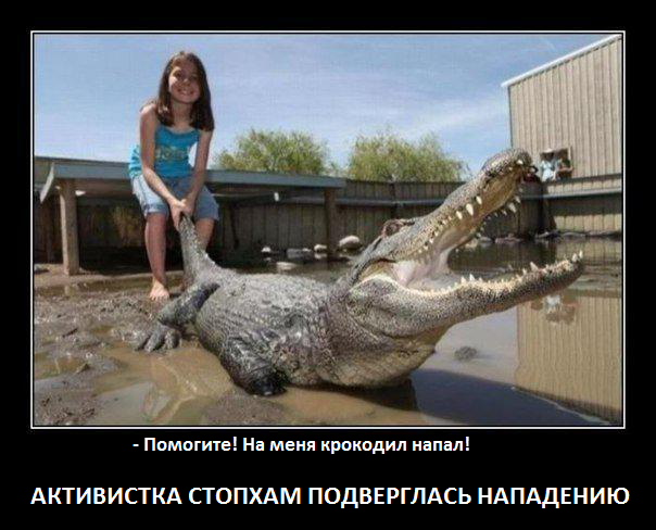 Активиста "Стопхам" пырнули ножом