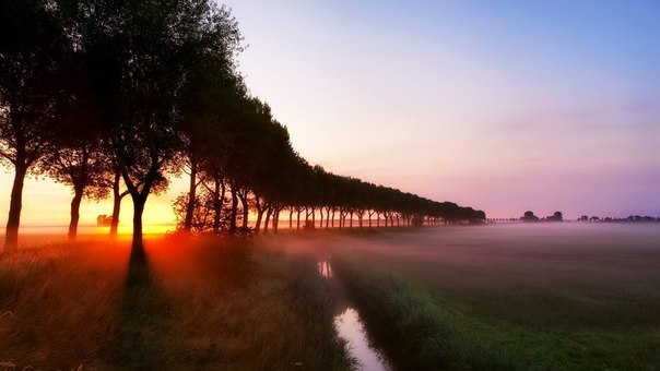 Интересные и веселые картинки