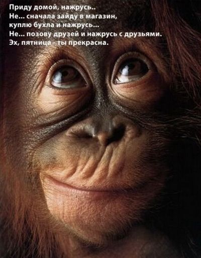 А давайте по фотке, кто как сейчас работает