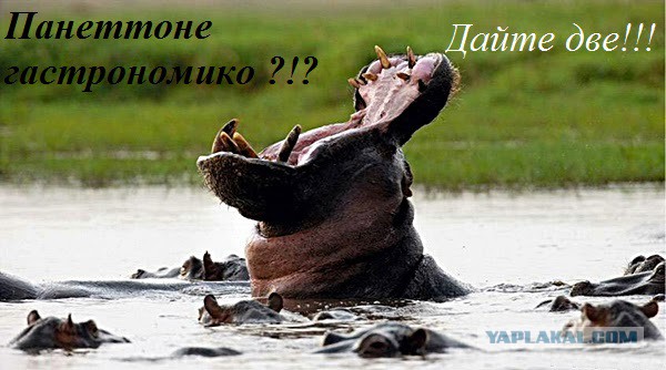 Разорвихлебало по-итальянски
