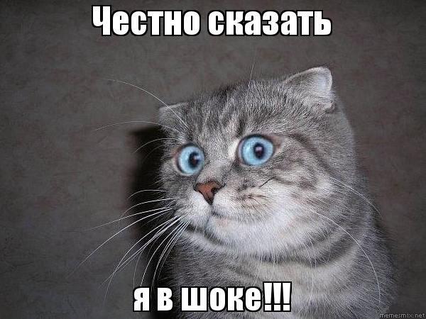 Очередная мамаша