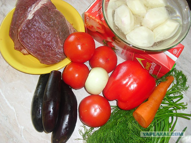 International одной книги., В память о Дженибеке.