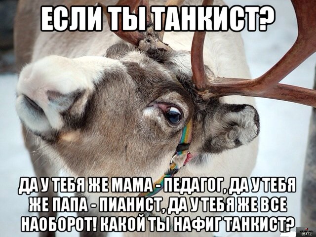 «Шилка»: легендарная зенитка, закрывшая врагу малые высоты