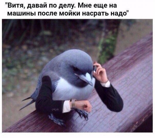 Прикольные картинки
