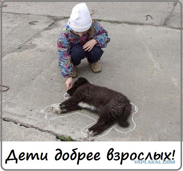 Тупик эволюции