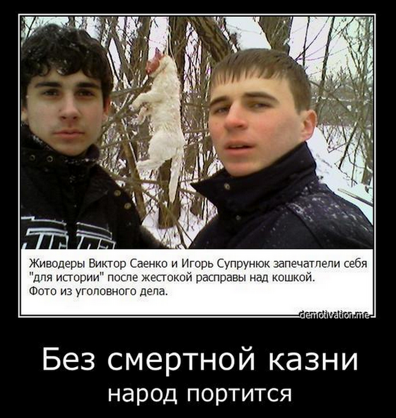 Отлов собак. Спасающие наши жизни