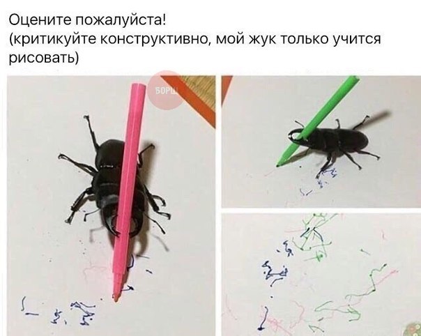 Приколы в картинках или прикольные картинки?