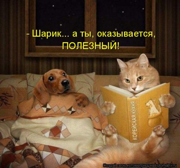 Прикольные картинки обо всем