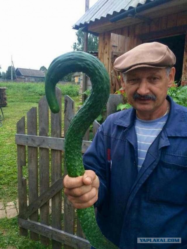 Природа всегда найдет чем удивить