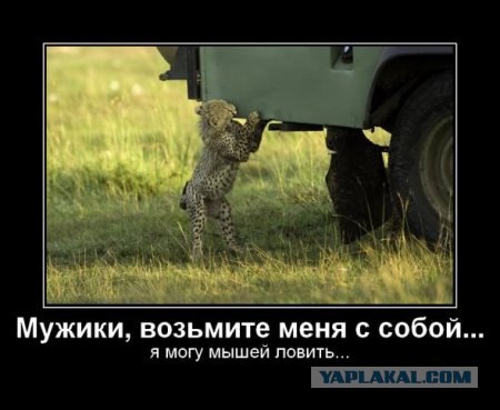 ... подкрался незаметно