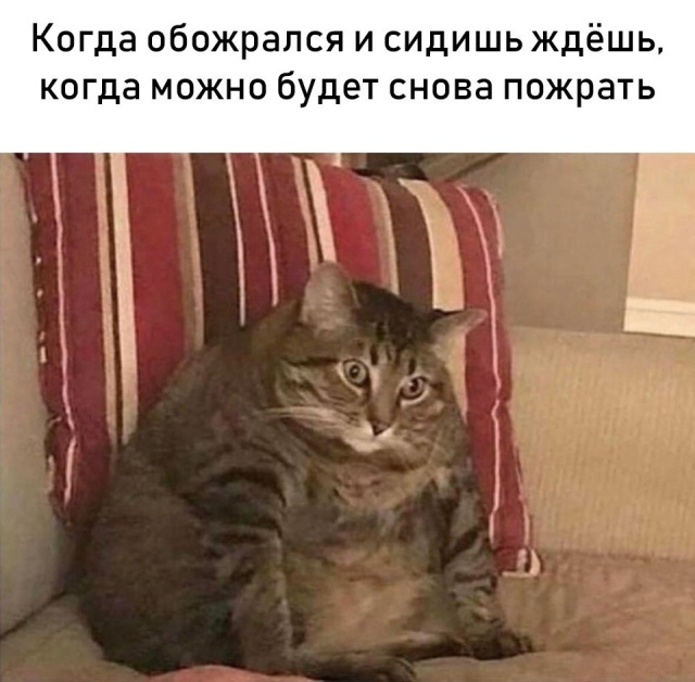 Немного милоты