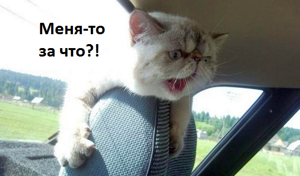 Жабельный собакен