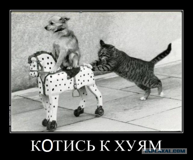 Сайты знакомств - диагноз?