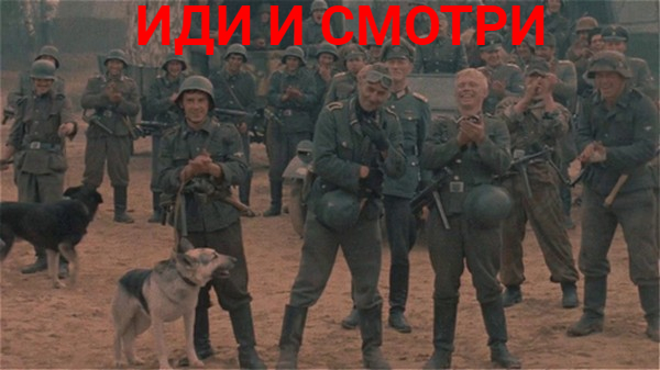 Полицаи бьют прохожих и натравливают собак