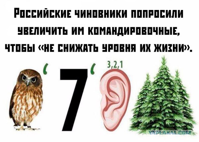 Картинки для настроения, честно стыренные на просторах тырнета