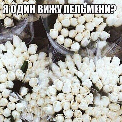 Картинки с надписями, истории и анекдоты 30.11.19