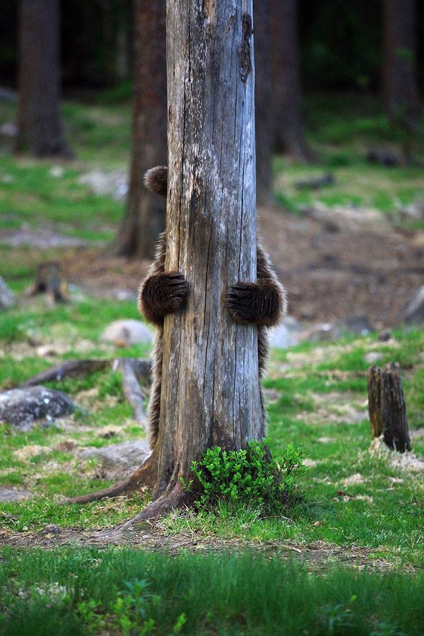 Разнокартинок псто 21.12.19