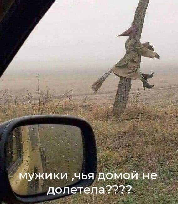 Немного картинок для настроения 27.12.19
