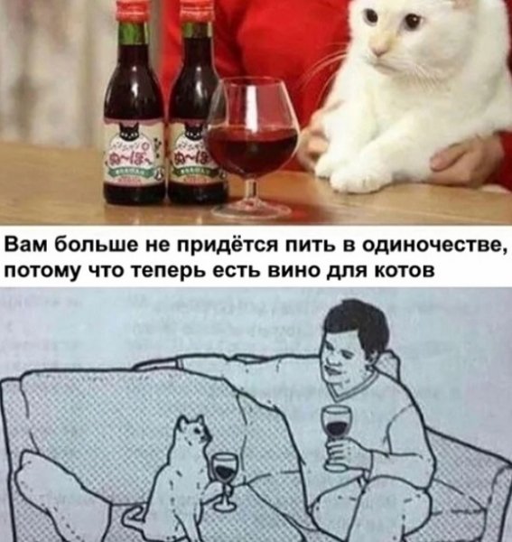 Немного картинок для настроения 29.04.20
