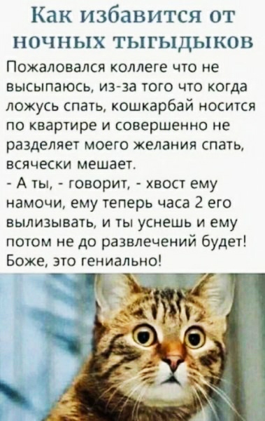 Немного картинок для настроения 17.05.20