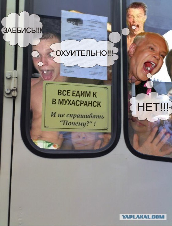 Не входить с беляшами!