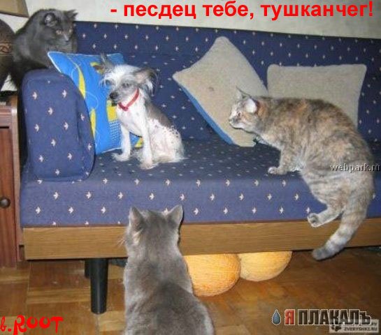 Ужасное противостояние