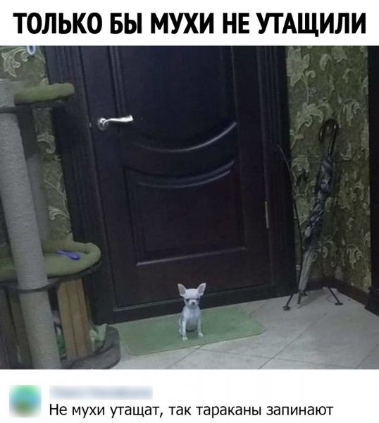 Мужчина НЕ должен обеспечивать. И никогда не был должен