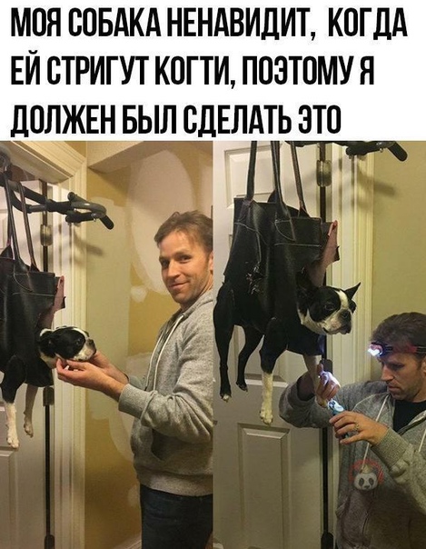 Картинки с надписями и всякие жизненные фразы 10.1.21