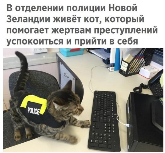 Картинки с надписями и всякие жизненные фразы 23.1.21