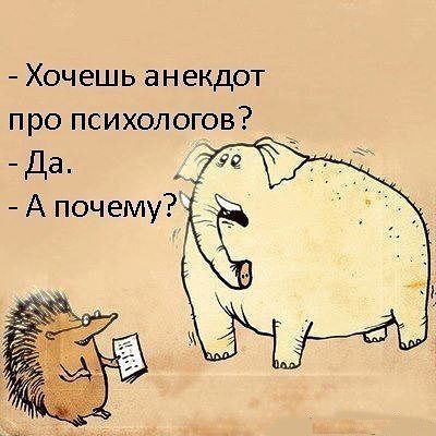 Немного разностей, шалостей и пушистостей