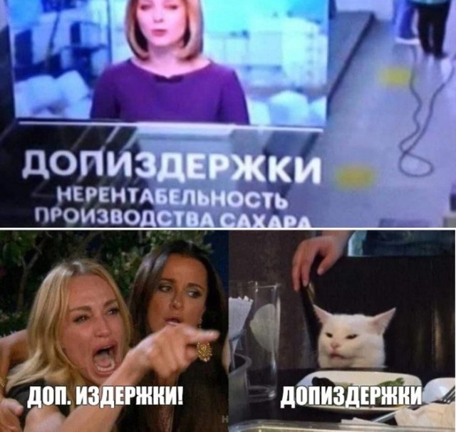 Кота не переубедить