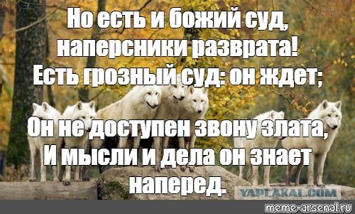 Будьте бдительны в интернете. Закон Яровой
