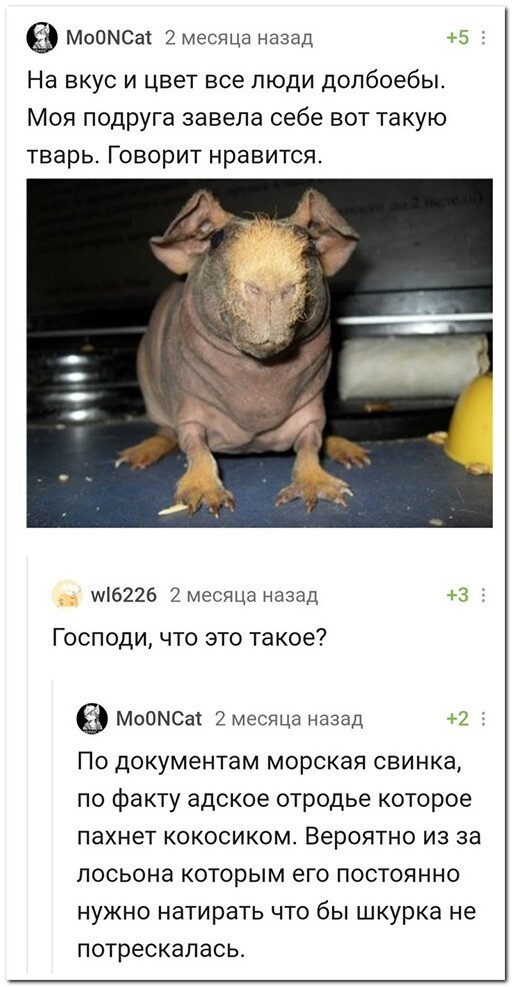 Баянисто-небаянистый юмор 15.06.21
