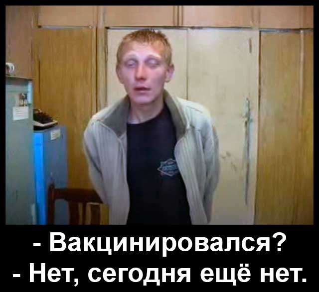 Гинцбург заявил, что из-за мутаций коронавируса прививаться нужно каждые полгода