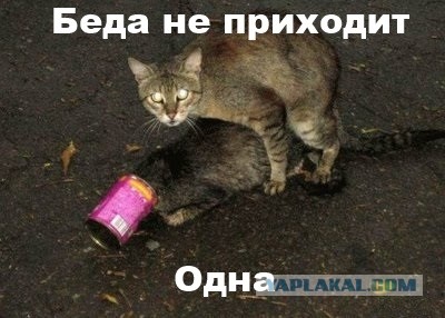 Не смог найти повреждений