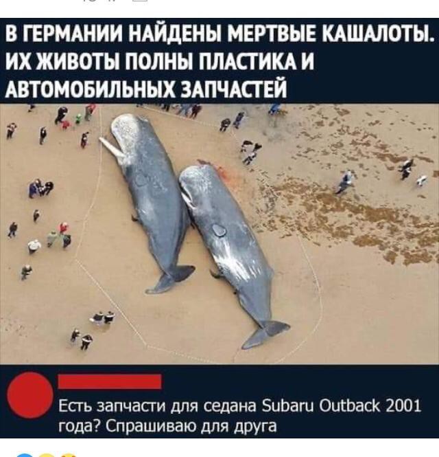 Пятница. И немного слегка пошлых картинок с надписями и без 16+ (16.07))