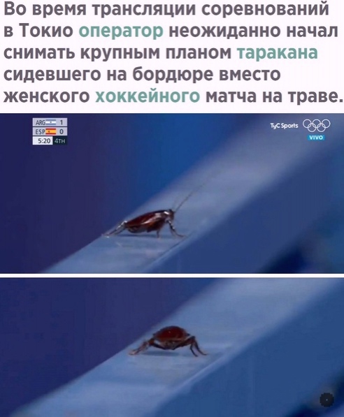 Картинки и мемы для настроения 02.08.2021