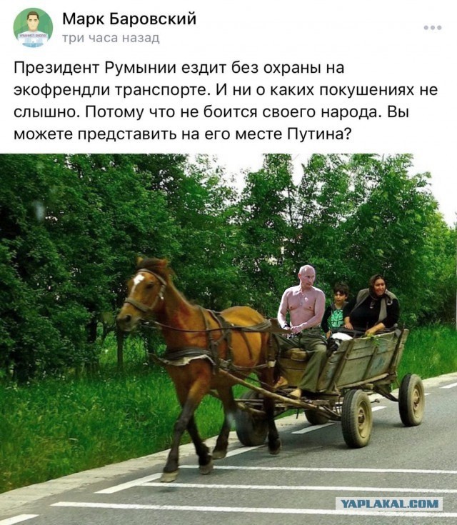 Всяческие картинки 19.10.2021