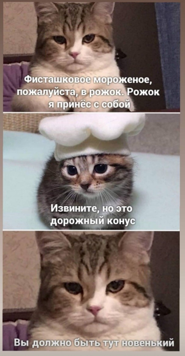 Топ мемов от Медузы к 7-летию