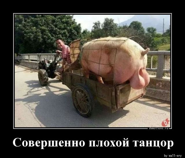 Динамика курса доллара США к рублю