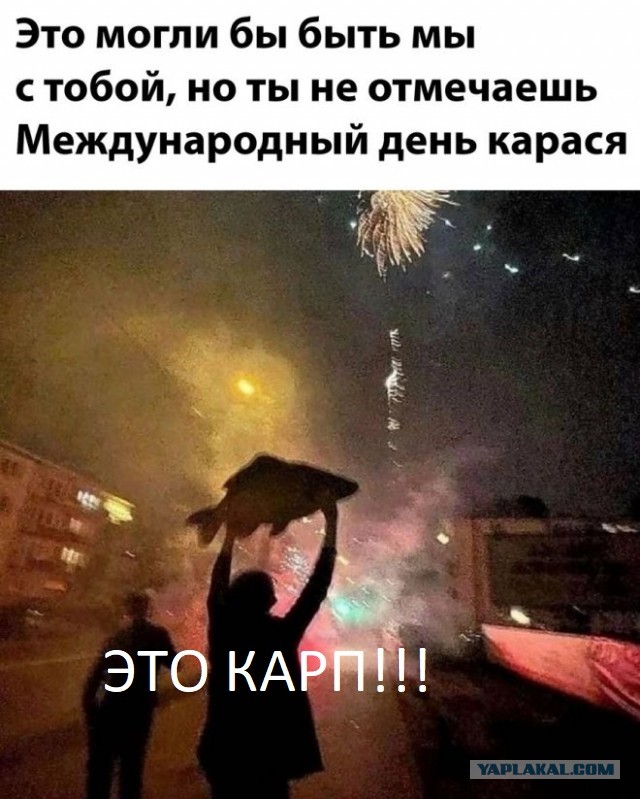Картинки и мемы, всем прекрасных выходных