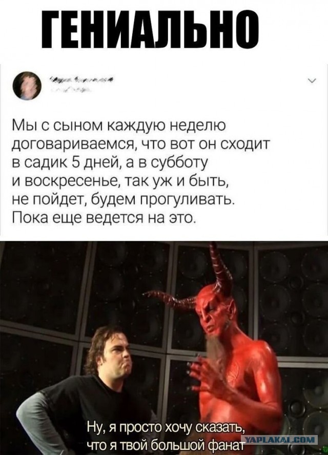 Забавные комментарии из Сети 19.06.22