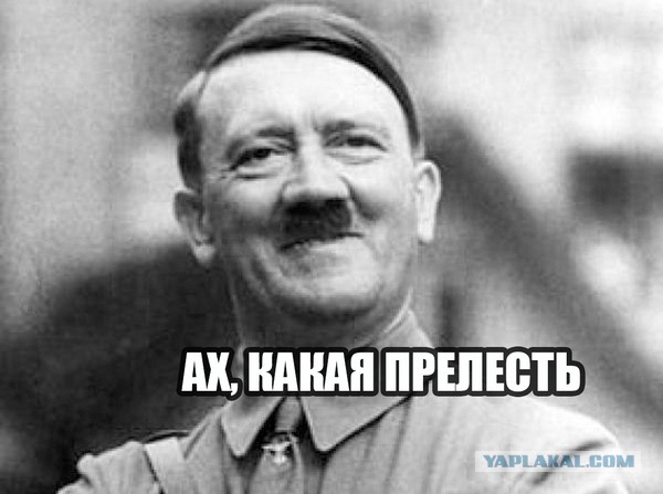 Население Земли - 8 млрд человек