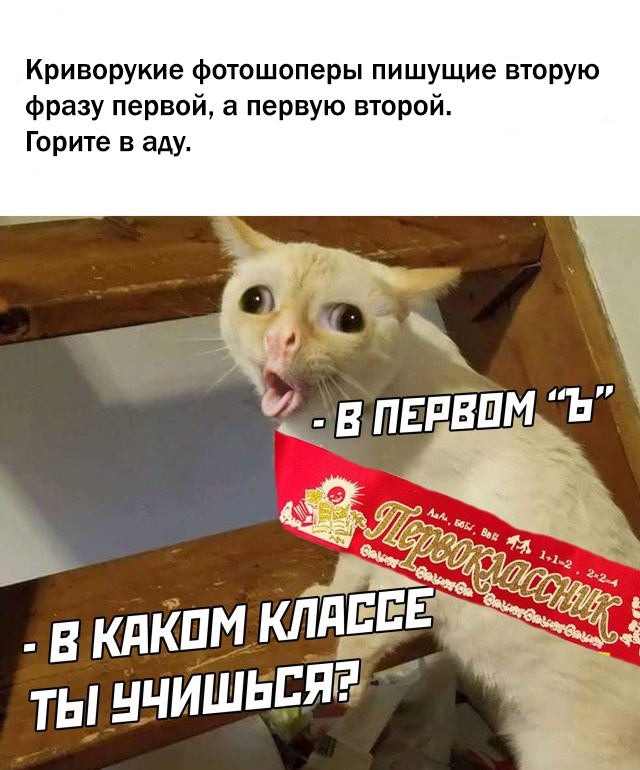 Чуток картинок 22.07.22