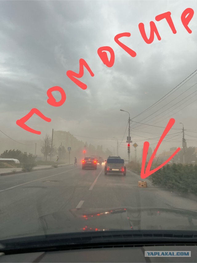В Волгограде творится какая-то дичь с погодой