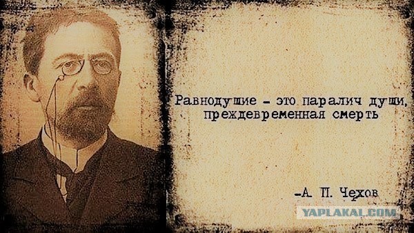Ослица за рулём