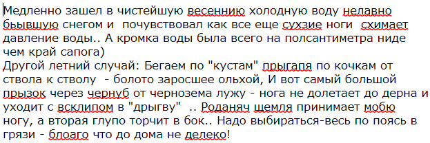 Болотные забавы